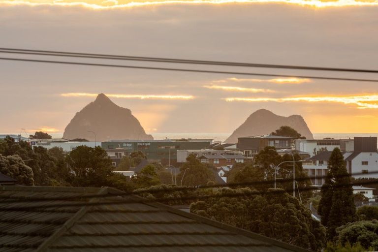 Photo of property in 47 Paynters Avenue, Strandon, New Plymouth, 4312