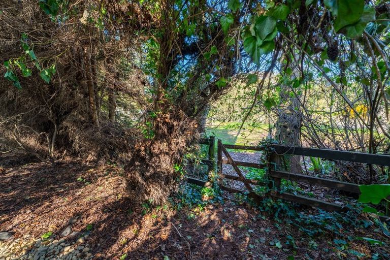 Photo of property in 49 Mckenzie Street, Geraldine, 7930