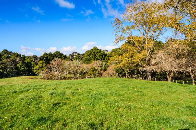 Photo of property in 1149a Whangaripo Valley Road, Whangaripo, Wellsford, 0972