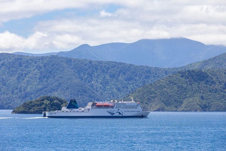 Photo of property in 181-209 Port Underwood Road, Waikawa, Picton, 7281