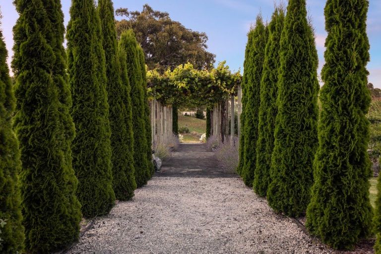 Photo of property in 323 Plummers Point Road, Whakamarama, Tauranga, 3172