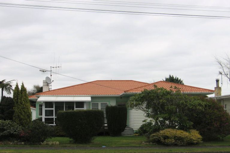Photo of property in 29 Carlisle Street, Levin, 5510