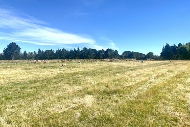 Photo of property in 113 Sydney Terrace, Takapau, 4203