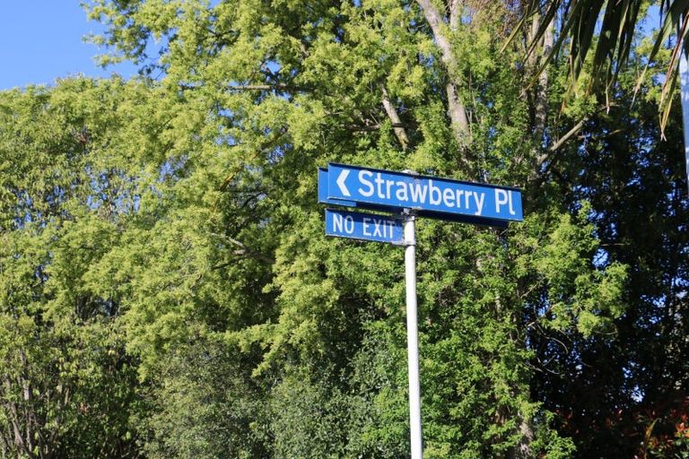 Photo of property in 24 Strawberry Place, Geraldine, 7930