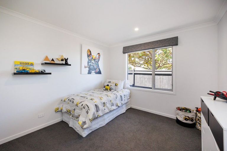 Photo of property in 30 Dogwood Way, Milson, Palmerston North, 4414