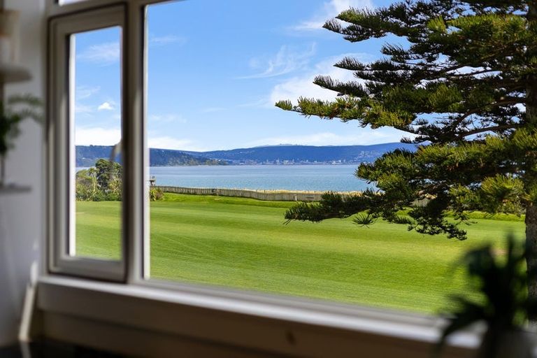 Photo of property in 39 Marine Parade, Eastbourne, Lower Hutt, 5013