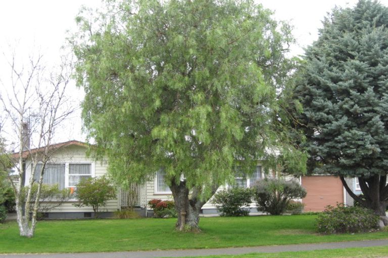 Photo of property in 13 Downing Avenue, Pirimai, Napier, 4112