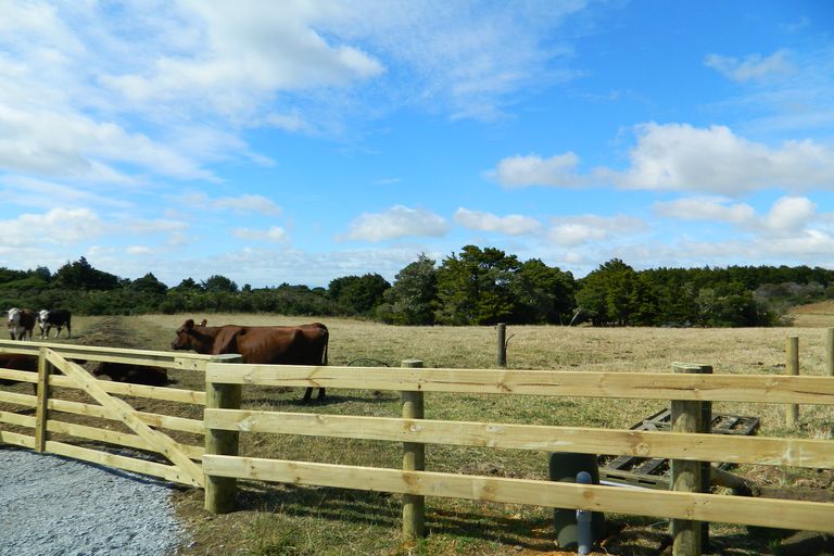 Photo of property in 741 Wiroa Road, Okaihau, 0475