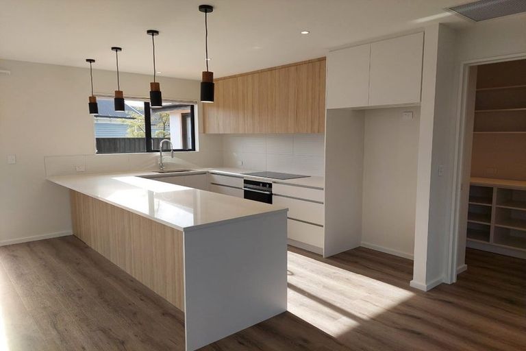 Photo of property in 17 Quarters Place, Halswell, Christchurch, 8025