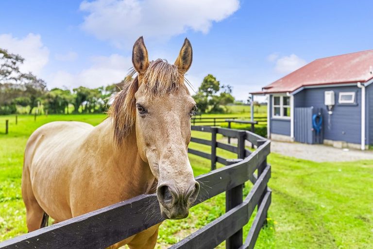 Photo of property in 225 Te Horo Hautere Cross Road, Hautere, Otaki, 5582