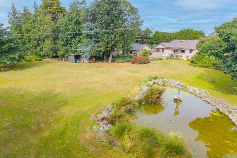 Photo of property in 768 Seadown Road, Seadown, Timaru, 7973