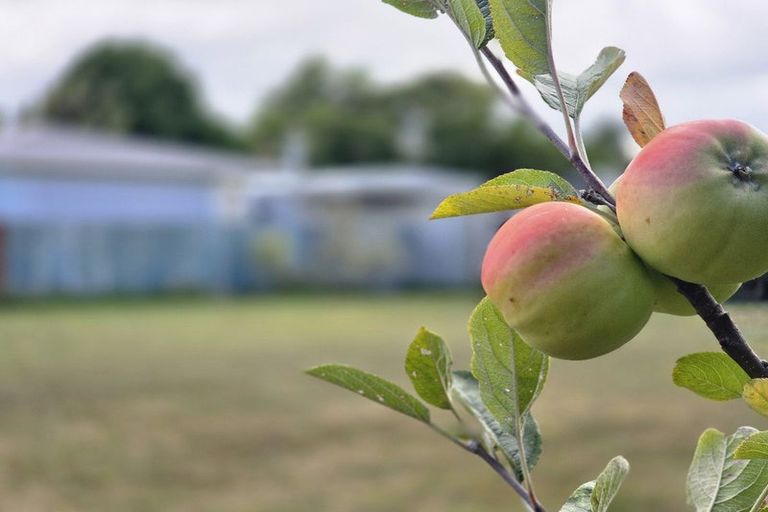 Photo of property in 510a Wellington Road, Marton, 4710