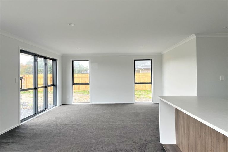 Photo of property in 128 Hinemoa Street, Levin, 5510