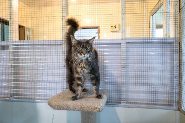 Photo of property in 236a Lord Rutherford Road, Brightwater, 7091