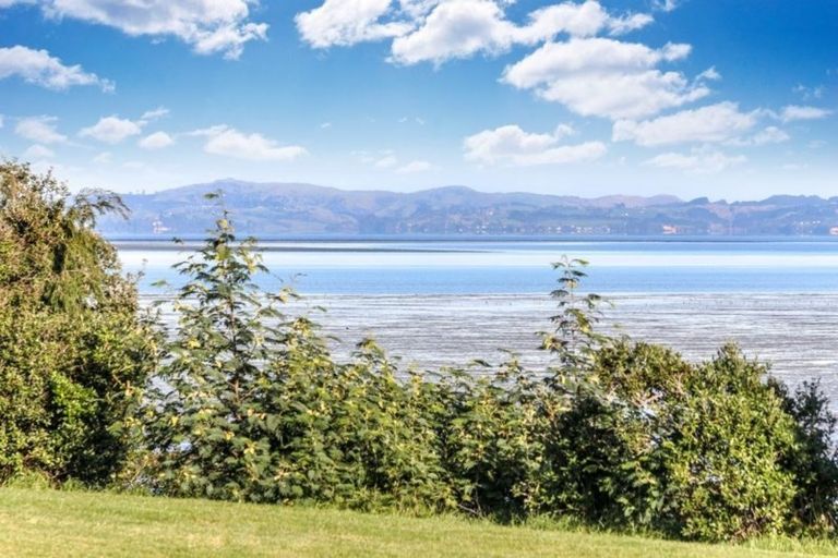 Photo of property in 57 Pitt Avenue, Clendon Park, Auckland, 2103