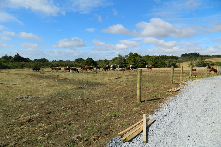 Photo of property in 741 Wiroa Road, Okaihau, 0475