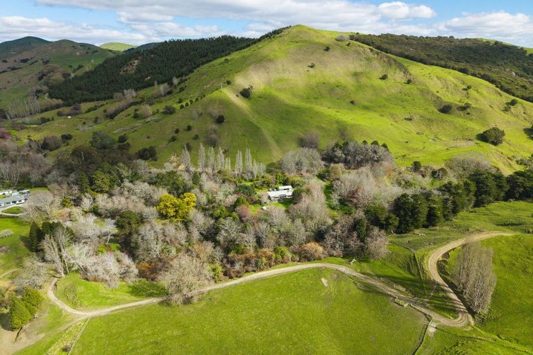 Photo of property in 717 Totangi Road, Ngatapa, Gisborne, 4072