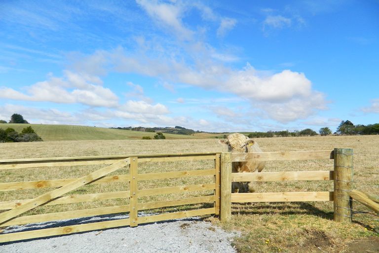 Photo of property in 741 Wiroa Road, Okaihau, 0475
