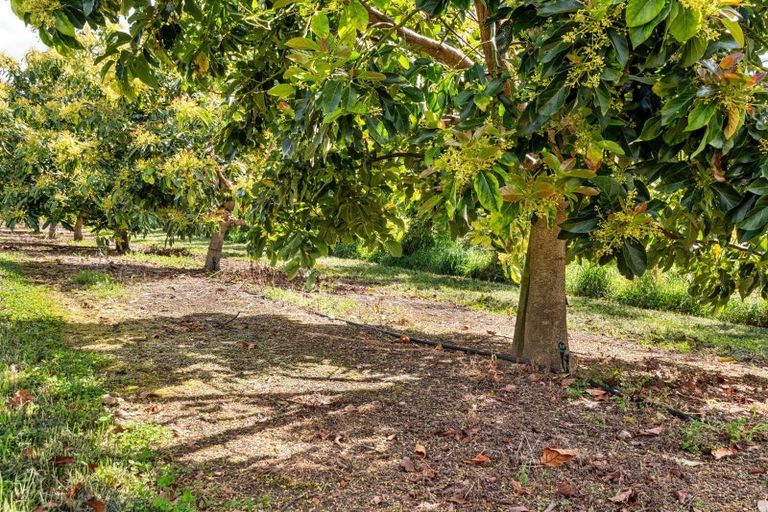 Photo of property in 71c Laurel Drive, Whakamarama, Tauranga, 3179