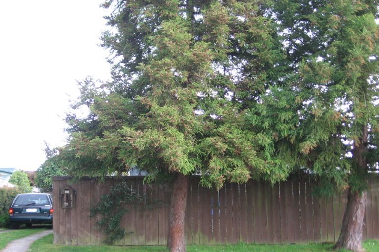 Photo of property in 36 Camellia Drive, Ngongotaha, Rotorua, 3010