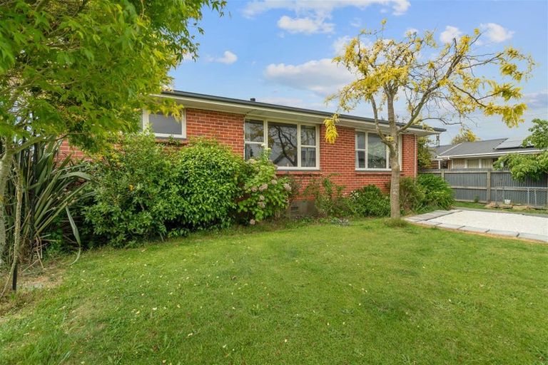 Photo of property in 43 Michael Street, Rakaia, 7710