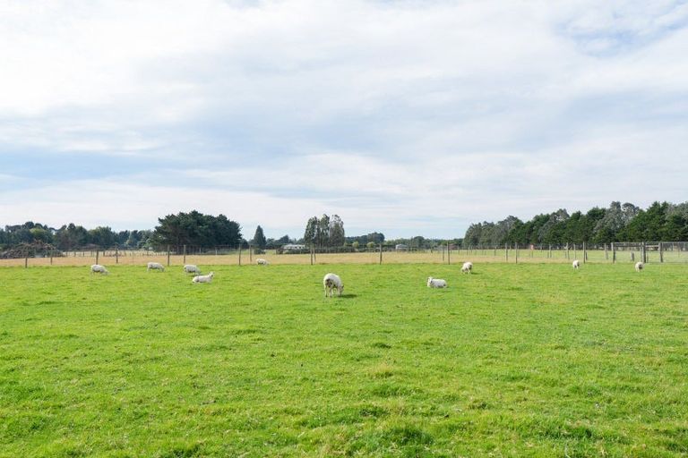 Photo of property in 44 Short Road, West Plains, Invercargill, 9874