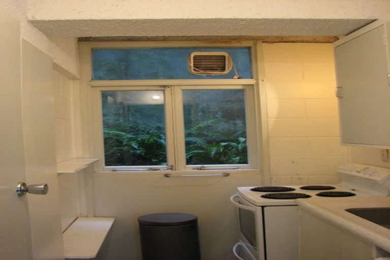 Photo of property in Fairmont Flats, 5d/20 Maarama Crescent, Aro Valley, Wellington, 6021