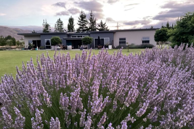 Photo of property in 129 Bannockburn Road, Cromwell, 9384