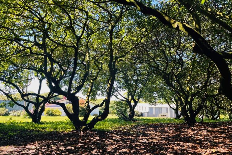 Photo of property in 717a No 3 Road, Te Puke, 3183