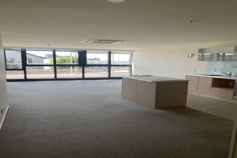 Photo of property in Luna Apartments, 1p/16 Burton Street, Grafton, Auckland, 1010