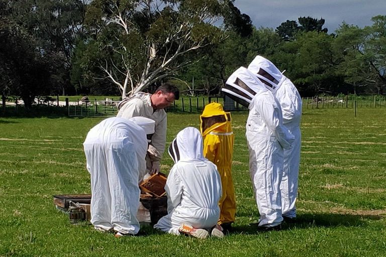 Photo of property in 58 Moroa Road, Tauwharenikau, Featherston, 5771