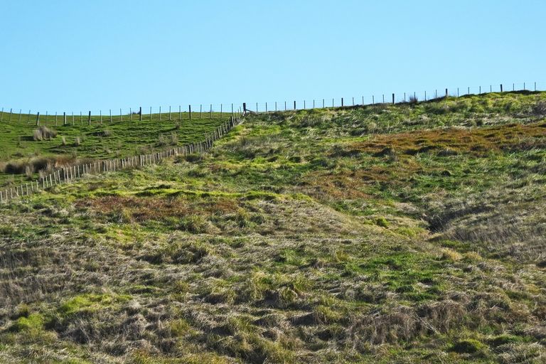 Photo of property in 239 Rangiora Road, Kaiwaka, 0573