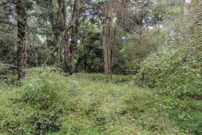 Photo of property in Sundrum, 52 Rae Road, Woodbury, Geraldine, 7991