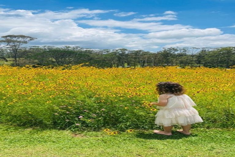 Photo of property in 185 Valencia Lane, Kerikeri, 0293