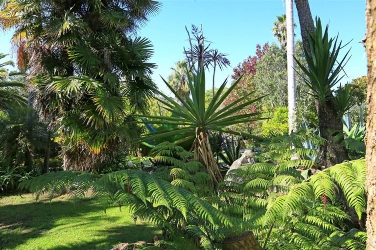 Photo of property in 22 Rimu Road, Oratia, Auckland, 0604