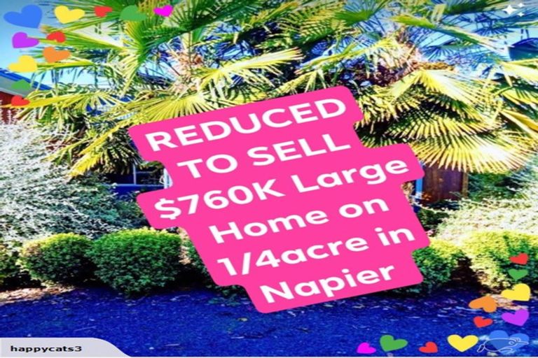 Photo of property in 38a King Street, Taradale, Napier, 4112