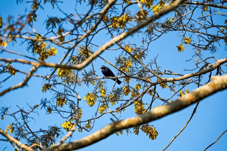 Photo of property in 48 Poland Street, Waikino, Waihi, 3682