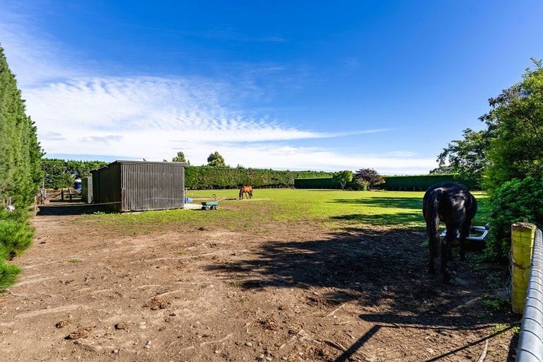 Photo of property in 769 Tancreds Road, Lincoln, Christchurch, 7676