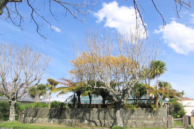Photo of property in 3 Larch Street, Victoria, Rotorua, 3010