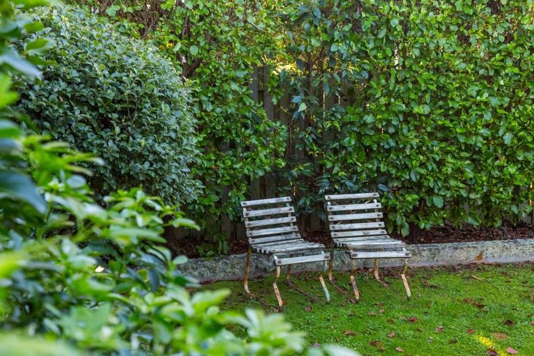 Photo of property in 31 Mcmaster Street, Greytown, 5712