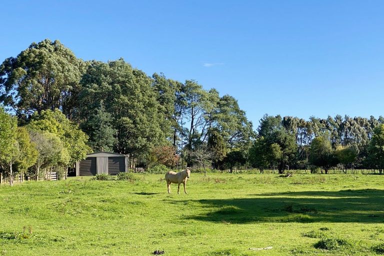 Photo of property in 258 Gladstone Road, Levin, 5571