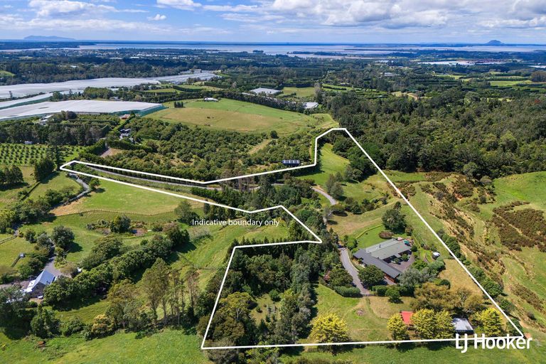 Photo of property in 325c Rea Road, Tahawai, Katikati, 3178