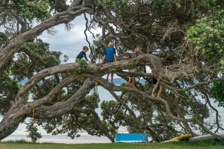 Photo of property in 66 Tindalls Bay Road, Tindalls Beach, Whangaparaoa, 0930