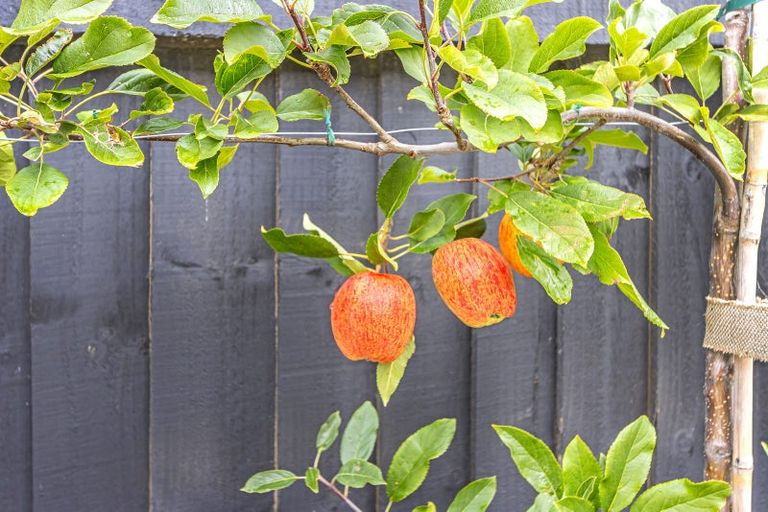 Photo of property in 94 Spalling Road, Halswell, Christchurch, 8025