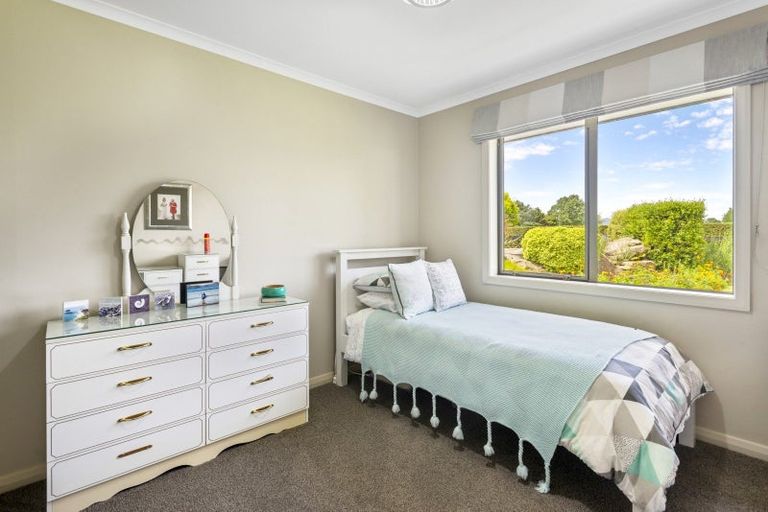 Photo of property in 165 Buckland Road, Matamata, 3472