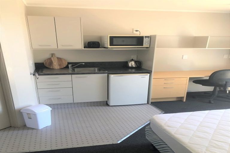 Photo of property in 931 Heaphy Terrace, Fairfield, Hamilton, 3214