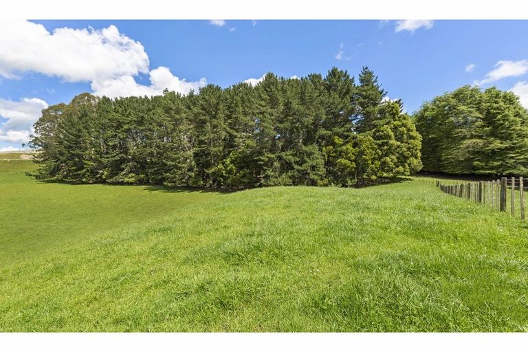 Photo of property in 80 State Highway 3, Piopio, 3970