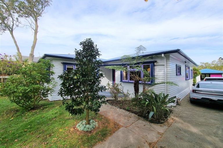 Photo of property in 228 Albert Street, Hokowhitu, Palmerston North, 4410