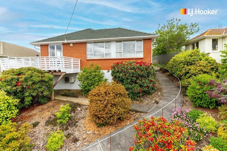 Photo of property in 101 Caldwell Street, Brockville, Dunedin, 9011