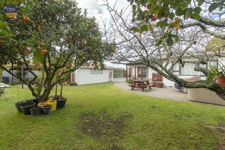 Photo of property in 44 Bill Hercock Street, Pirimai, Napier, 4112